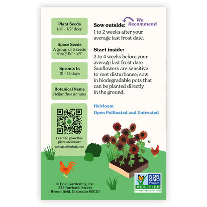 Seed packet of Chocolate Cherry Sunflower with gardening instructions and plant information on a white background