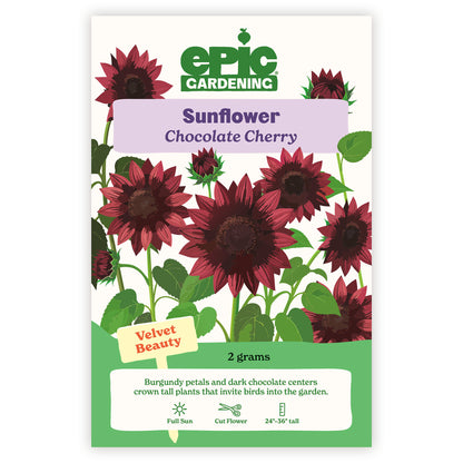 Sunflower seed packet labeled 'Chocolate Cherry' by Epic Gardening on a white background.