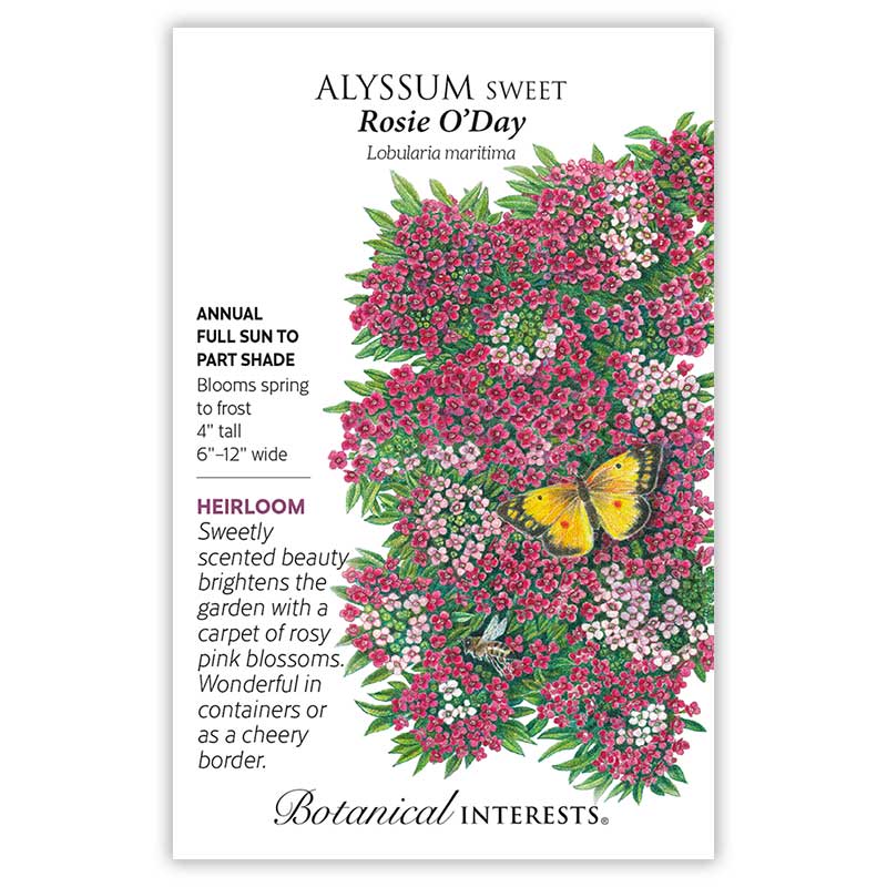 Seed packet for Rosie O'Day Sweet Alyssum illustrating clusters of rosy pink and white flowers with green foliage, a yellow butterfly and a bee, alongside text noting it's an heirloom annual for full sun to part shade, blooming spring to frost at 4 inches tall and 6–12 inches wide.