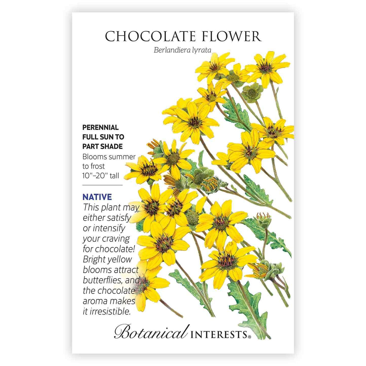 Botanical Interests Chocolate Flower seed packet illustrated with clusters of yellow daisy-like blooms with dark centers on branching stems, printed text noting it's a native perennial for full sun to part shade, blooming summer to frost, 10 to 20 inches tall.