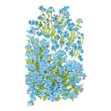 Botanical illustration of forget-me-not flowering stems clustered together, showing small five-petaled sky-blue blooms with yellow centers, pink budding flowers, and green pointed leaves against a white background.