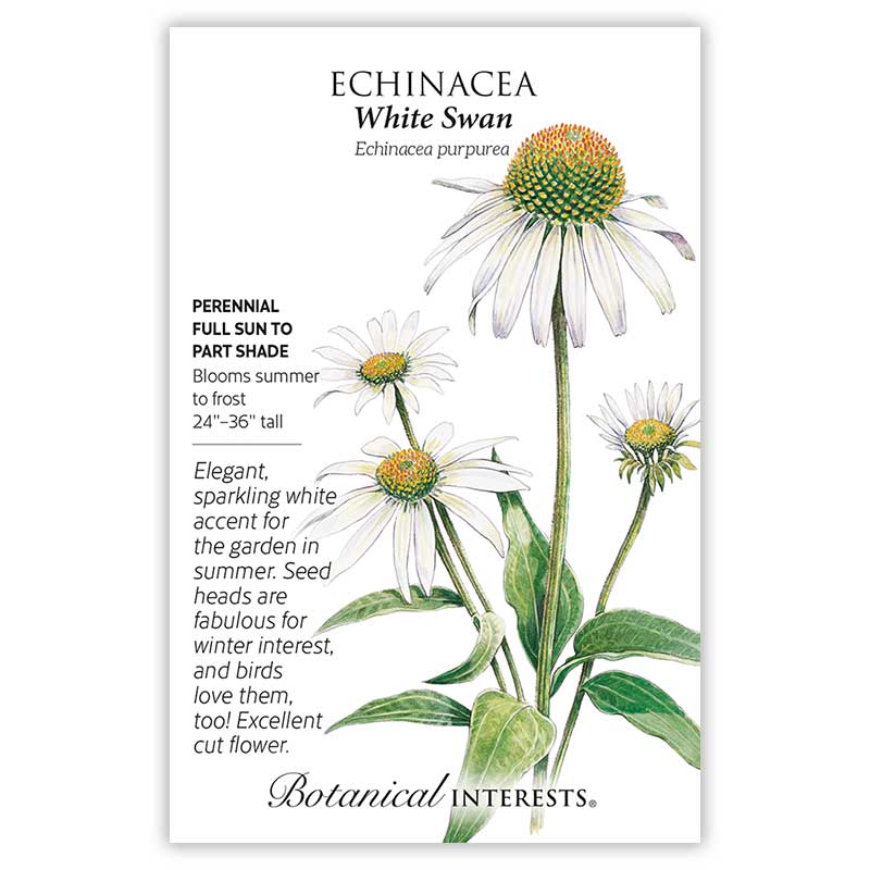 Seed packet for Echinacea White Swan featuring an illustration of white daisy-like coneflowers with domed orange-green centers on tall green stems, with text noting it's a perennial for full sun to part shade, blooming summer to frost, 24–36 inches tall, valued for cut flowers and winter interest.