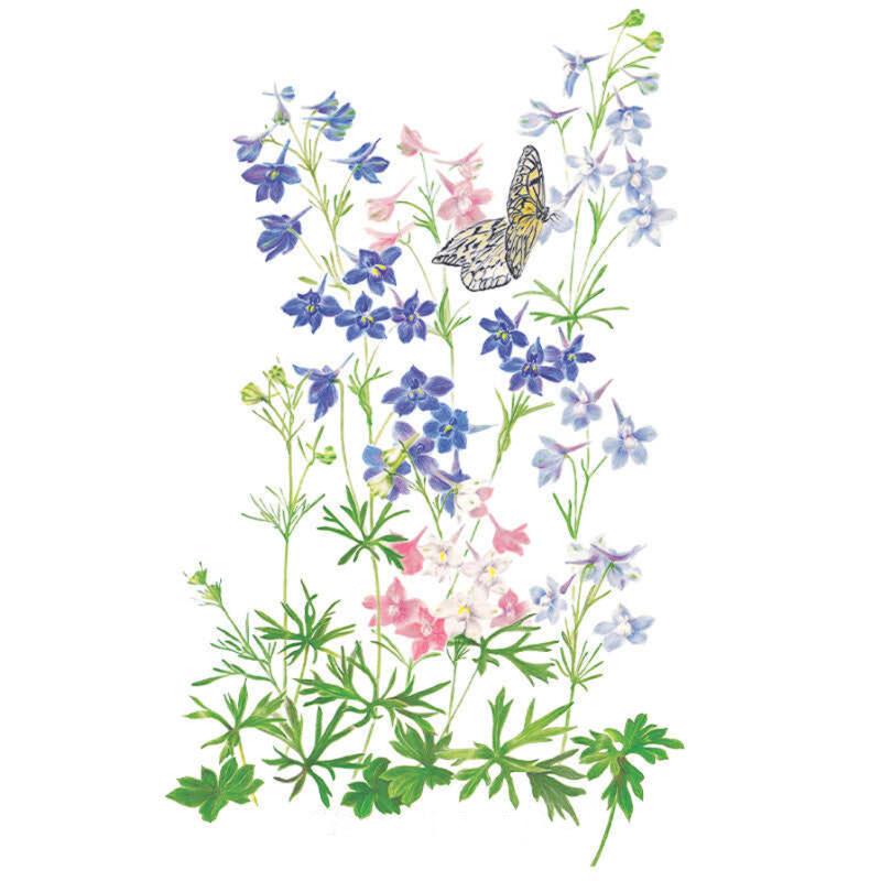 Botanical illustration of Butterfly Blend delphiniums showing tall stems of blue, pink, and white florets with feathery green foliage, alongside a white-and-black butterfly, on a plain white background.