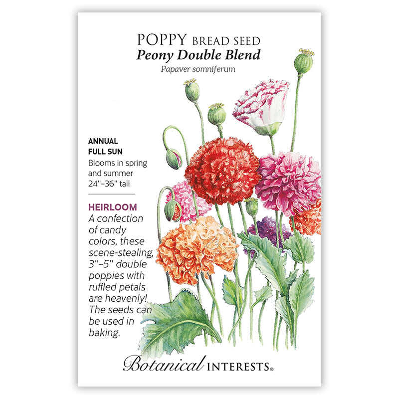 Botanical Interests seed packet for Peony Double Blend Bread Seed Poppy, illustrated with ruffled double blooms in red, pink, orange and white atop tall stems with seed pods, alongside text noting it's an heirloom annual for full sun, 24