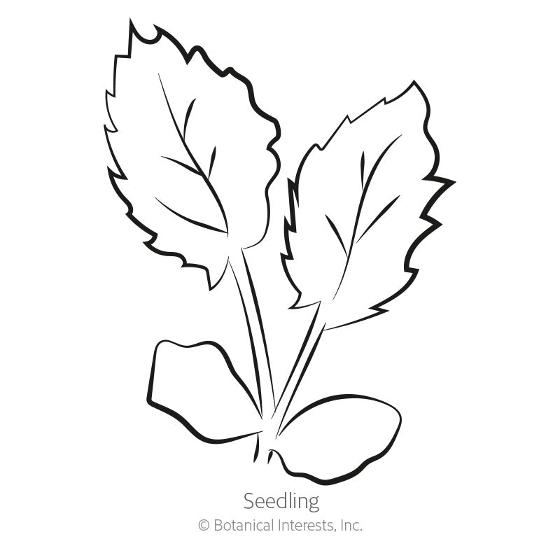 Black and white line drawing labeled 