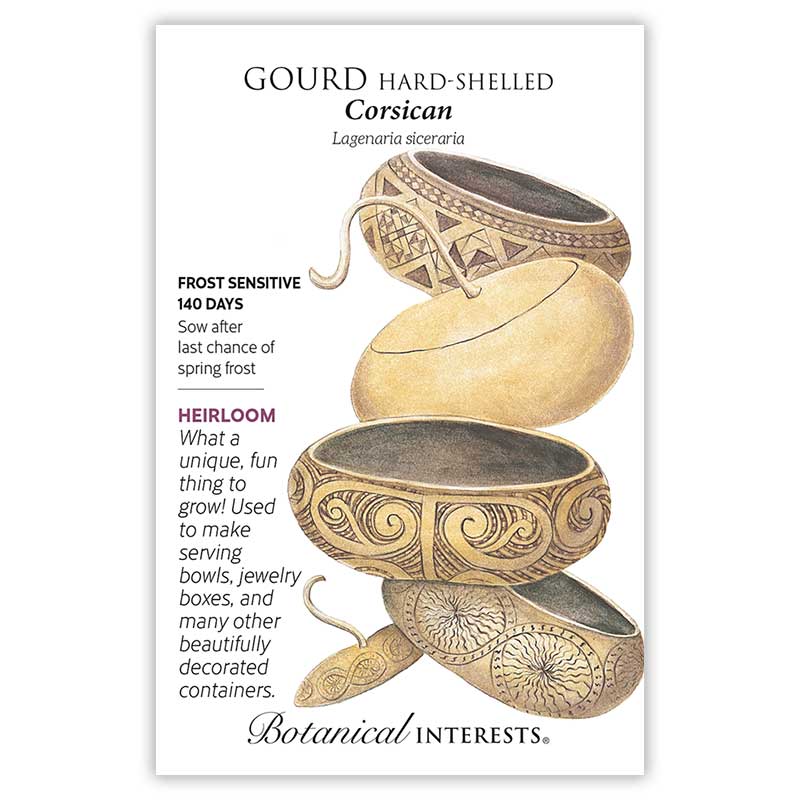 Seed packet for Corsican Hard-Shelled Gourd featuring illustrations of dried gourds carved and etched into decorative bowls with geometric and spiral patterns, with text noting it is frost sensitive, 140 days to maturity, an heirloom variety used for making serving bowls and jewelry boxes.