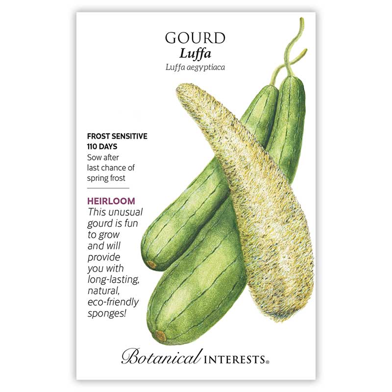 Botanical Interests seed packet for Luffa Gourd, illustrated with elongated green ridged gourds beside one peeled to show its fibrous tan sponge interior, plus text noting it's frost sensitive, 110 days to maturity, and an heirloom variety.