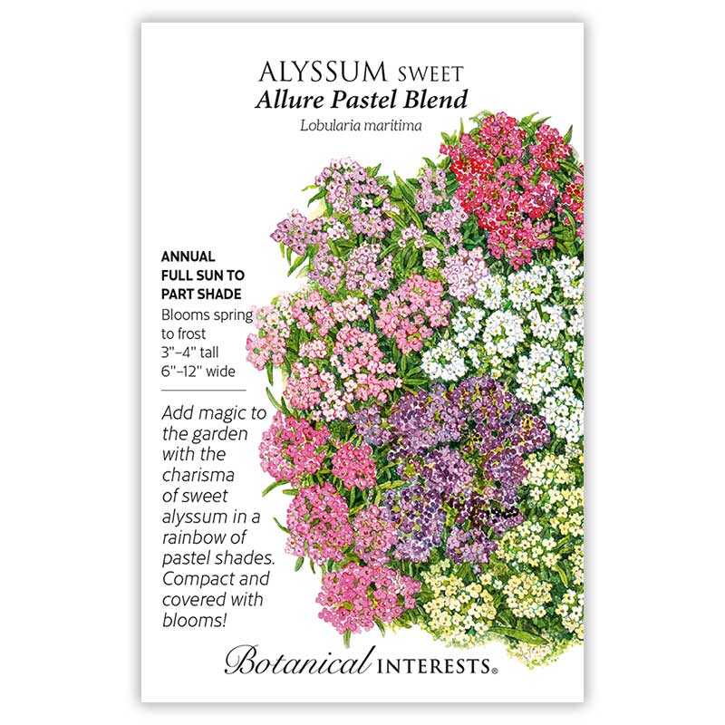 Seed packet for Sweet Alyssum Allure Pastel Blend, illustrated with dense clusters of tiny flowers in pink, red, white, purple, and yellow, alongside text noting it's an annual for full sun to part shade, blooming spring to frost, growing 3-4 inches tall and 6-12 inches wide.