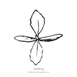 Line drawing labeled 