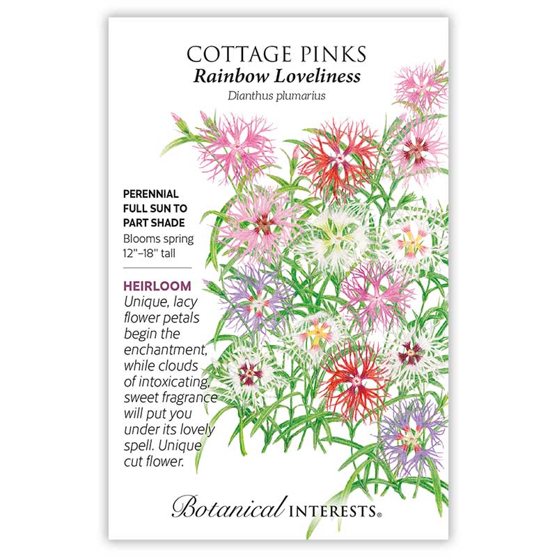 Seed packet for Cottage Pinks "Rainbow Loveliness" (Dianthus plumarius) illustrating fringed, lacy flowers in shades of pink, red, white, and lavender with grassy foliage, alongside text noting it's a heirloom perennial for full sun to part shade, blooming spring at 12–18 inches tall.