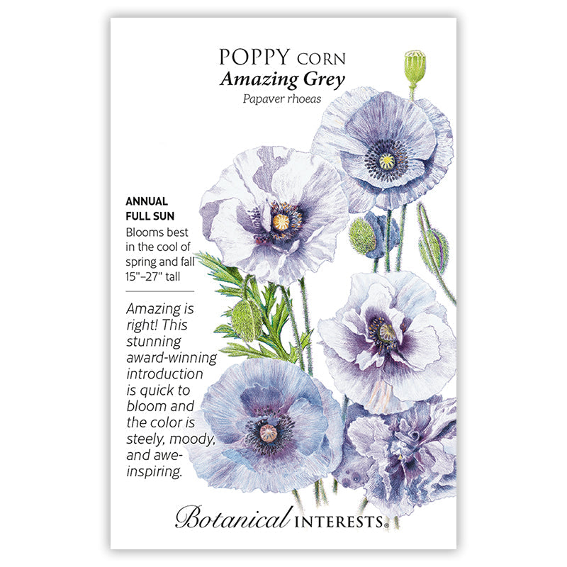Front of a Botanical Interests seed packet for Amazing Grey Corn Poppy Seeds featuring plant details and a botanical illustration of soft lavender-grey and purple poppy blooms.