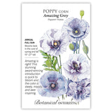 Front of a Botanical Interests seed packet for Amazing Grey Corn Poppy Seeds featuring plant details and a botanical illustration of soft lavender-grey and purple poppy blooms.
