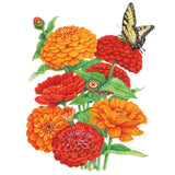 Botanical illustration of Fireball Blend zinnias showing a cluster of densely petaled orange and red blooms in various stages, with a yellow swallowtail butterfly perched on one flower.