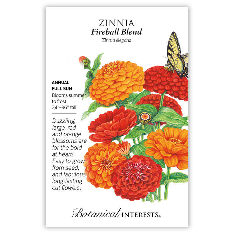 Zinnia Fireball Blend seed packet with colorful flowers and botanical information
