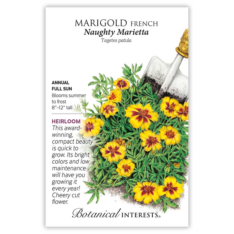 Seed packet for Naughty Marietta French Marigold showing an illustration of yellow flowers with dark red centers and feathery green foliage beside a garden trowel, with text noting it's an heirloom annual for full sun, blooming summer to frost, growing 8 to 12 inches tall.