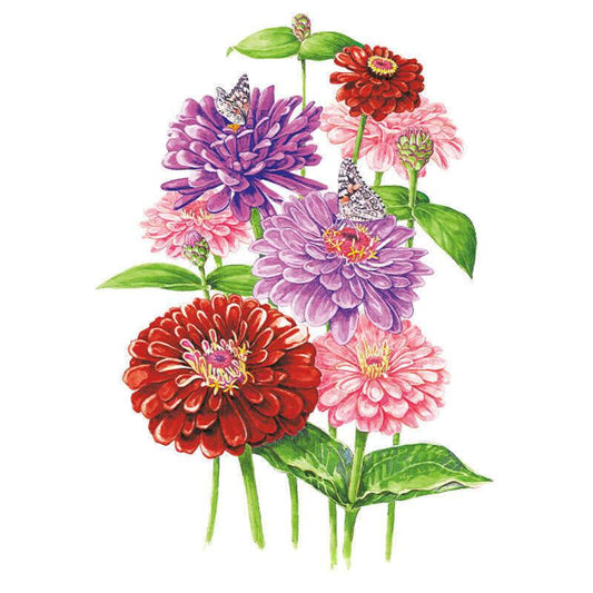 Illustrated bouquet of fully double zinnia blooms in deep red, pink, purple and lavender atop leafy green stems, with two painted lady butterflies feeding on the purple and lavender flowers.