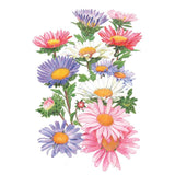 Botanical illustration of China aster blend showing daisy-like blooms in a mix of colours including pink, lavender, blue and white, each with a yellow centre, arranged among green foliage and buds.