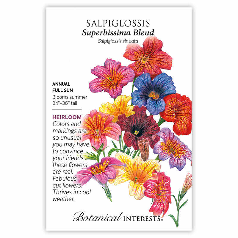 Seed packet for Botanical Interests heirloom Salpiglossis Superbissima Blend, illustrated with veined trumpet-shaped flowers in pink, red, blue, yellow, and purple, with text noting it's a full-sun annual growing 24–36 inches tall, blooming summer, and good for cut flowers.