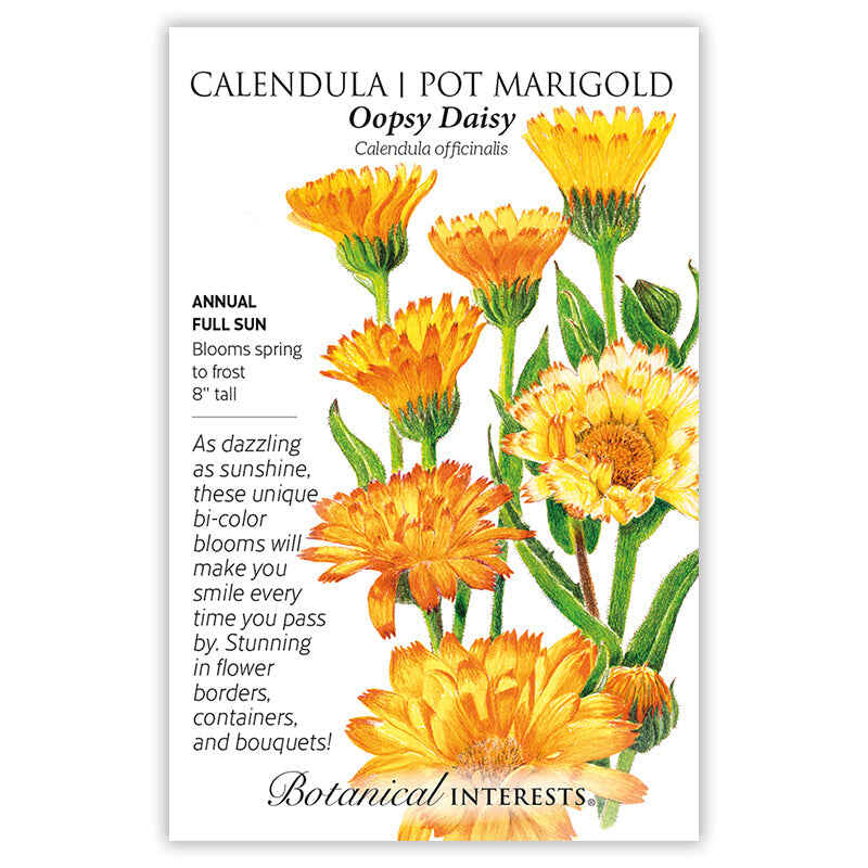 Seed packet for Oopsy Daisy Calendula featuring an illustration of frilly bi-color orange and yellow blooms on green stems, with text noting it's a full-sun annual growing 8 inches tall and blooming spring to frost.