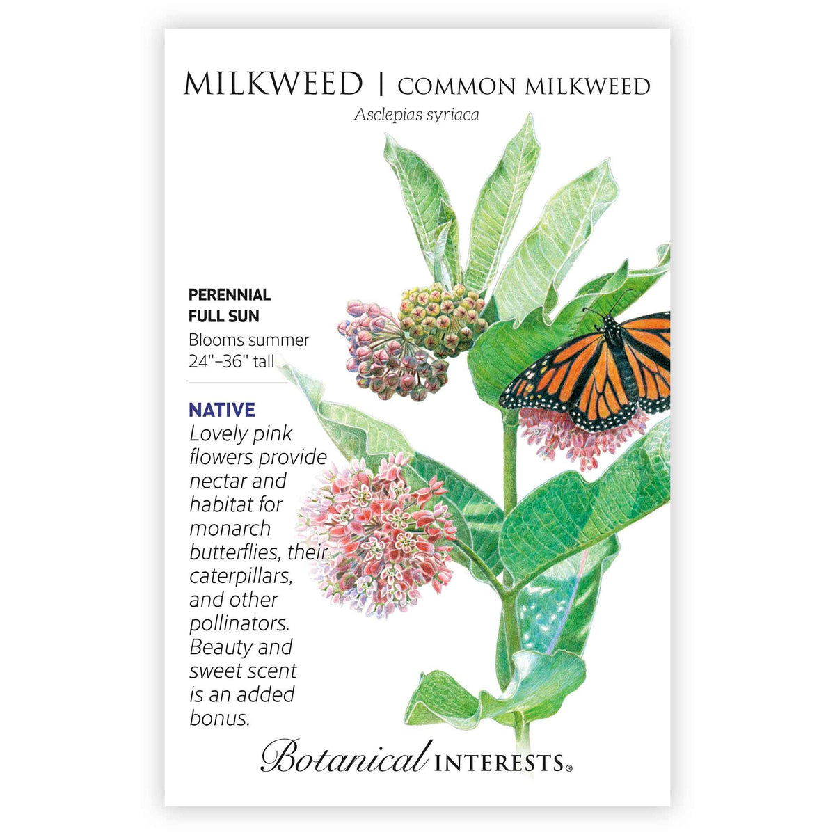 Front of an organic Botanical Interests seed packet for Common Milkweed/Butterfly Flower Seeds displaying native plant details and a botanical illustration of green milkweed leaves, pink flowers, and a monarch butterfly.