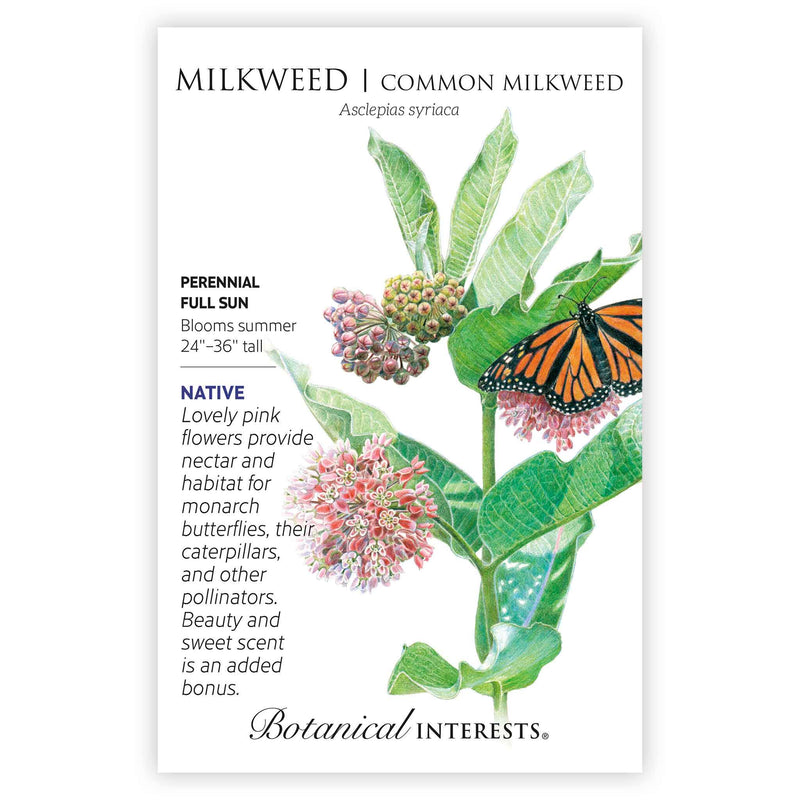 Front of an organic Botanical Interests seed packet for Common Milkweed/Butterfly Flower Seeds displaying native plant details and a botanical illustration of green milkweed leaves, pink flowers, and a monarch butterfly.
