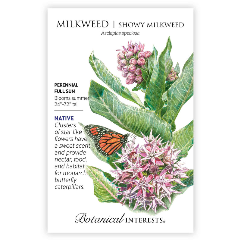 Seed packet for Showy Milkweed featuring a detailed illustration of star-like pink flower clusters, broad green leaves, and a monarch butterfly, with text noting it's a native, full-sun perennial growing 24–72 inches tall and blooming in summer.
