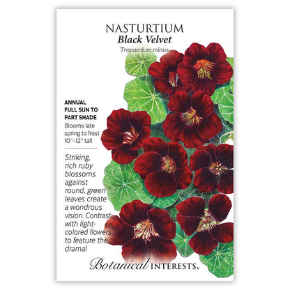 Botanical Interests seed packet for Black Velvet Nasturtium, illustrated with deep ruby-red blossoms against round green leaves, plus printed text noting it's a full sun to part shade annual growing 10–12 inches tall and blooming late spring to frost.