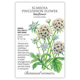 Seed packet for Starflower Scabiosa (Lomelosia stellata) illustrating pale blue pincushion blooms and papery, star-patterned seed heads on tall green stems, with text noting it's a full-sun to part-shade annual growing 18–24 inches tall, blooming summer to frost.