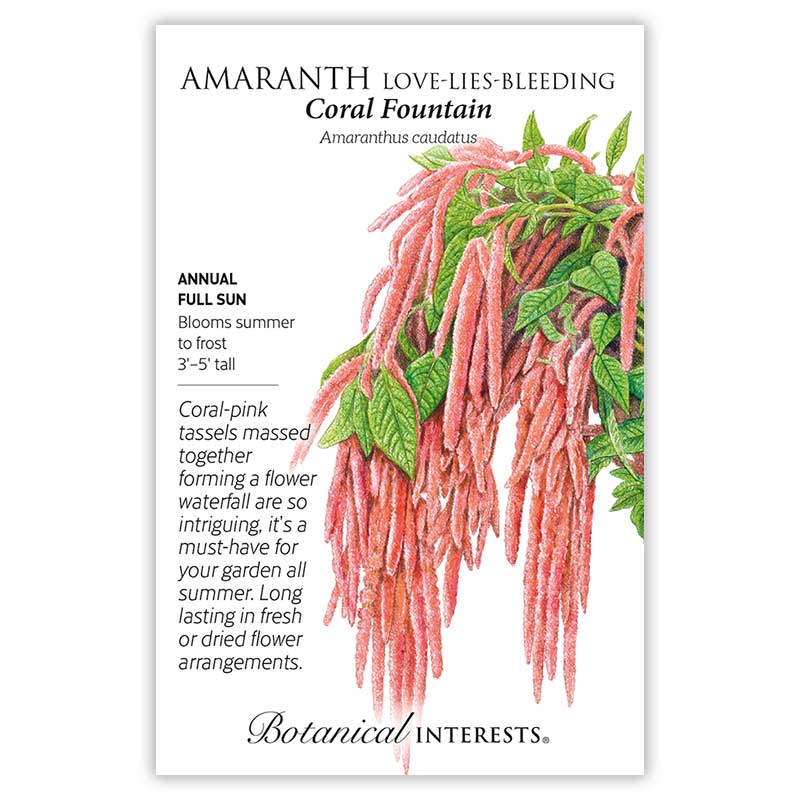 Botanical Interests seed packet for Coral Fountain Love-Lies-Bleeding Amaranth, illustrated with long cascading coral-pink tasseled flower spikes among green leaves, with text noting it's a full-sun annual growing 3–5 feet tall, blooming summer to frost.