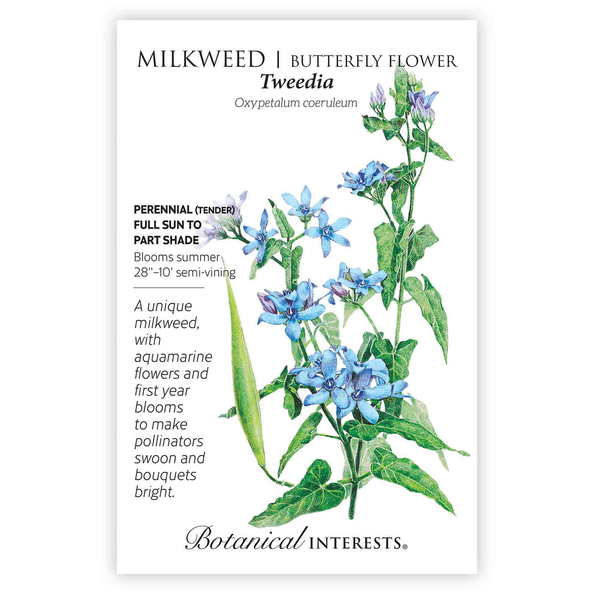 Seed packet for Tweedia milkweed featuring a botanical illustration of star-shaped aquamarine-blue flower clusters, a slender green seed pod, and pointed green leaves on vining stems, with text noting it's a tender perennial for full sun to part shade, blooming summer with semi-vining growth 28 inches to 10 feet.