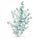Illustration of multi-branched stems with rounded, frosty green leaves for Eucalyptus Silver Drop Seeds on a plain white background.