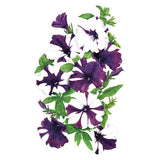 Cluster of Shock Wave Purple Tie Dye petunia blooms, each ruffled trumpet flower splashed with deep purple and white streaks, surrounded by green foliage on a plain white background.