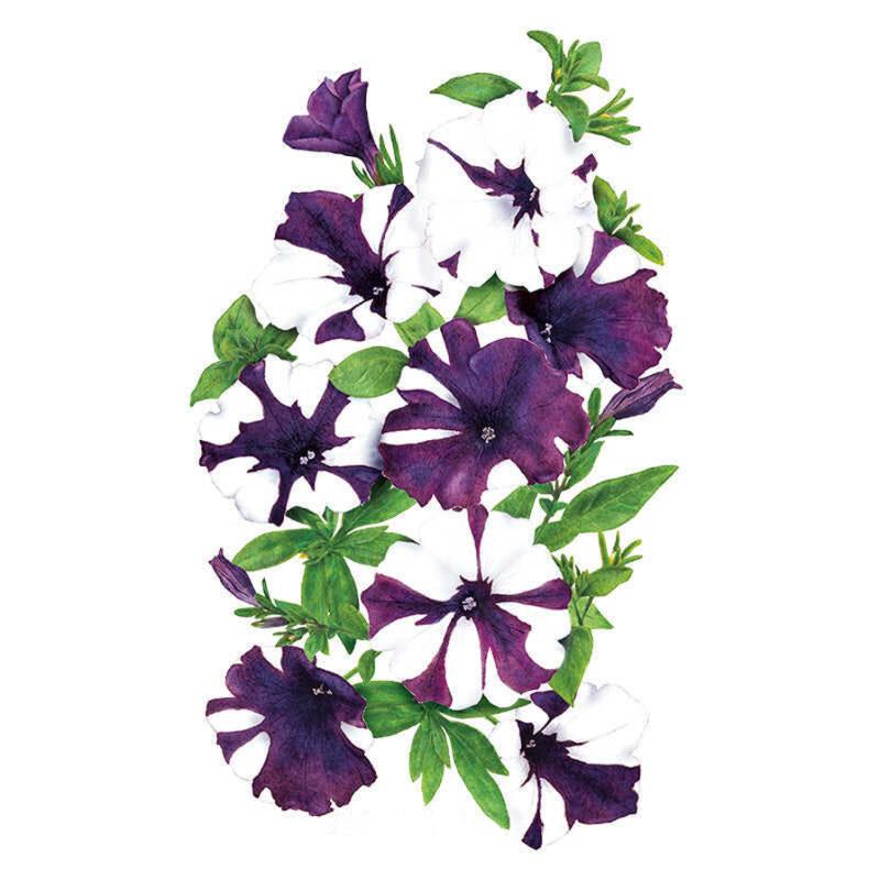 Cluster of Shock Wave Purple Tie Dye petunia blooms, each ruffled trumpet flower splashed with deep purple and white streaks, surrounded by green foliage on a plain white background.