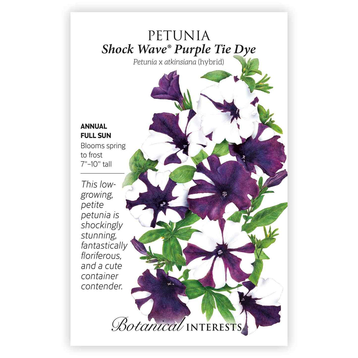 Seed packet for Shock Wave Purple Tie Dye petunia, illustrated with clustered trumpet-shaped blooms in deep purple with white edges among green foliage, plus text noting it's an annual for full sun, blooming spring to frost, growing 7-10 inches tall.