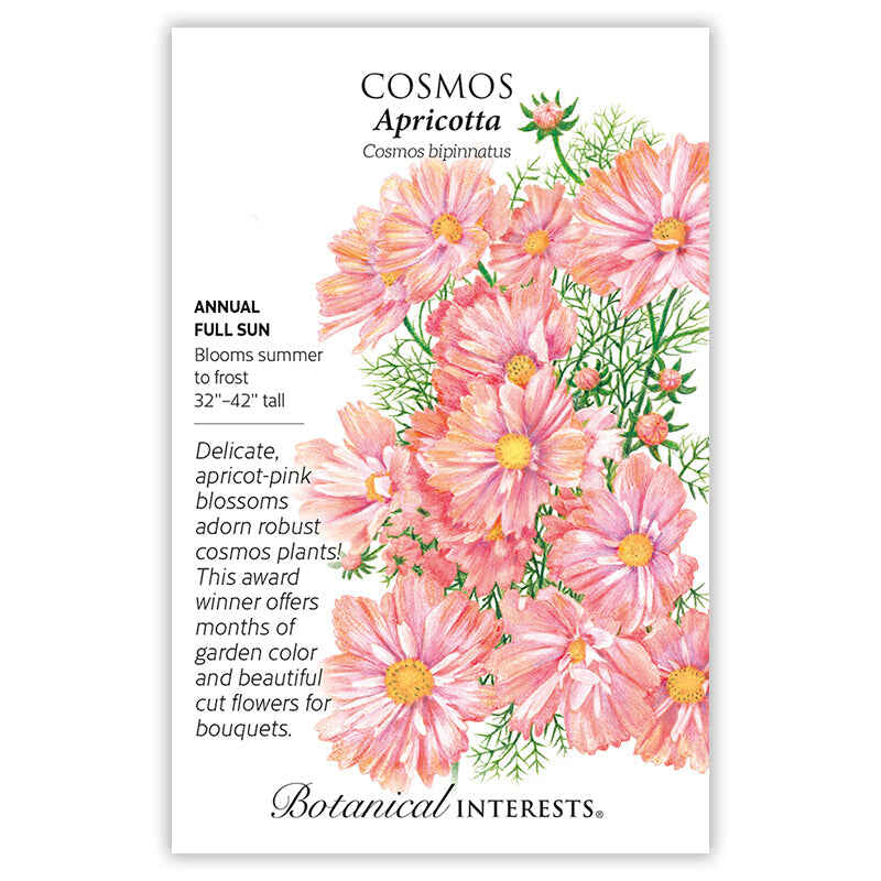 Botanical Interests seed packet for Apricotta Cosmos, illustrated with a cluster of feathery-leaved, apricot-pink daisy-like blossoms with yellow centers, and text noting it's a full-sun annual growing 32–42 inches tall that blooms summer to frost.
