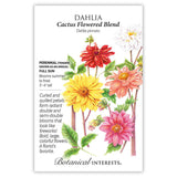 Seed packet for Cactus Flowered Blend Dahlia illustrating spiky, quill-petaled double blooms in red, white, peach, yellow, and pink, with text noting it's a tender perennial grown as an annual, full sun, blooming summer to frost at 3'–4' tall.
