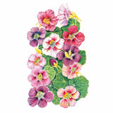 Botanical illustration of Purple Emperor trailing nasturtium showing a cluster of rounded blooms in deep purple, magenta, pink and white shades with yellow throats, set among round green lily-pad-like leaves.