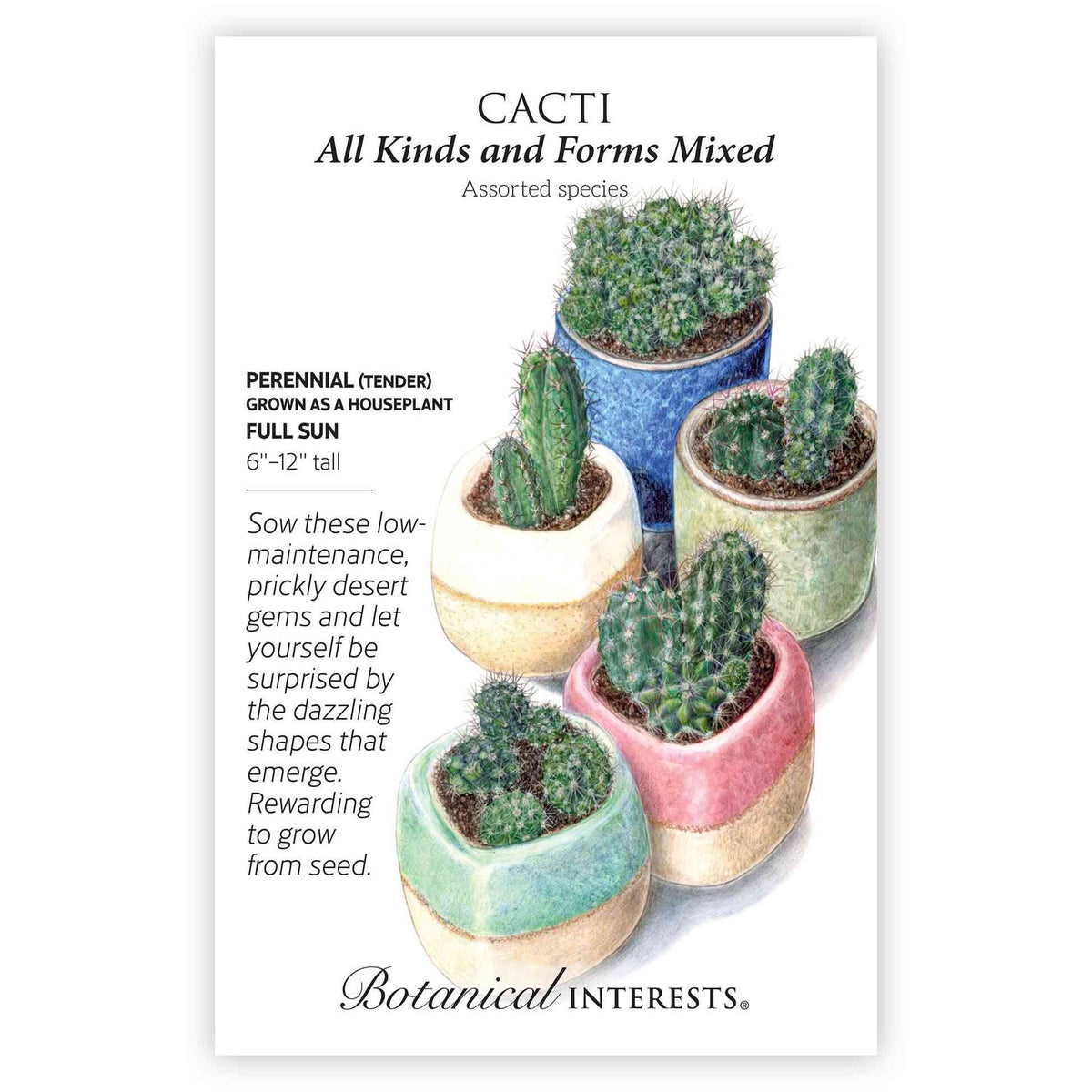Seed packet for Botanical Interests Cacti, All Kinds and Forms Mixed, illustrated with five differently shaped spiny cacti in blue, cream, green, pink, and teal ceramic pots, with text noting they're tender perennials grown as houseplants in full sun, reaching 6 to 12 inches tall.