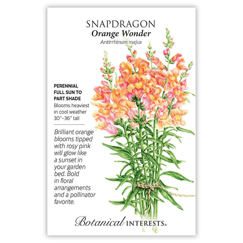 Seed packet for Orange Wonder Snapdragon showing an illustrated bundle of tall stems with orange blooms tipped in rosy pink, tied with twine, alongside text noting it's a perennial for full sun to part shade, blooming heaviest in cool weather and growing 30 to 36 inches tall.