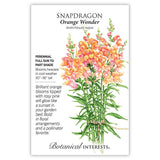 Seed packet for Orange Wonder Snapdragon showing an illustrated bundle of tall stems with orange blooms tipped in rosy pink, tied with twine, alongside text noting it's a perennial for full sun to part shade, blooming heaviest in cool weather and growing 30 to 36 inches tall.
