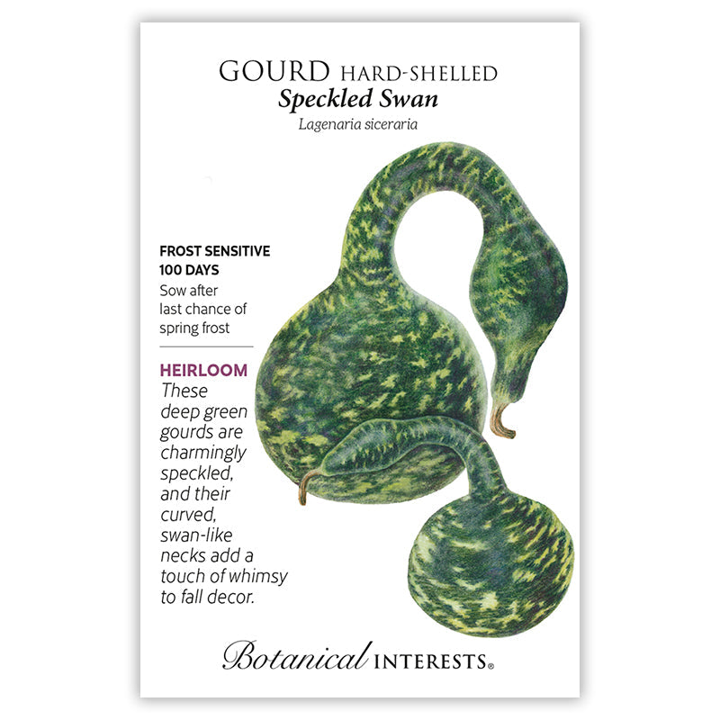 Seed packet for Speckled Swan hard-shelled gourd, illustrated with dark green, mottled bulbous gourds curving into long swan-like necks, alongside text noting it's frost sensitive, matures in 100 days, and is an heirloom variety.
