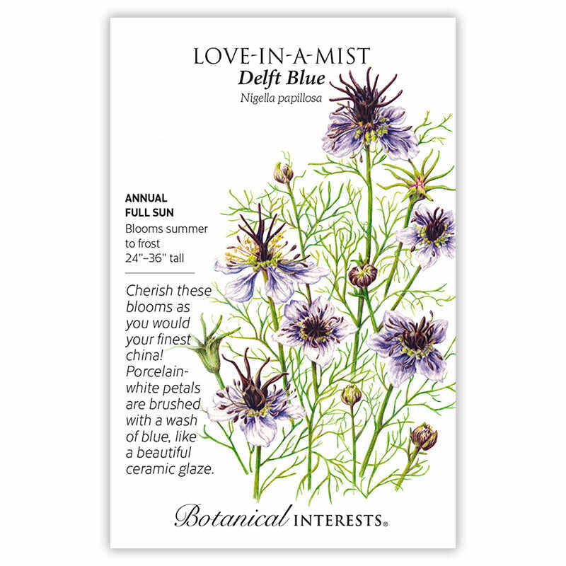 Seed packet for Love-in-a-Mist Delft Blue (Nigella papillosa) showing an illustration of white flowers washed with blue and maroon-tipped stamens amid feathery green foliage and seed pods, with text noting it's a full-sun annual blooming summer to frost, 24–36 inches tall.