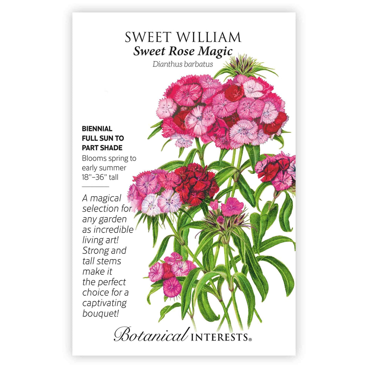 "Sweet William Sweet Rose Magic" plant information seed packet featuring a detailed information and illustration of white, pink, and deep rose flower clusters with growing details and plant facts on a white background.