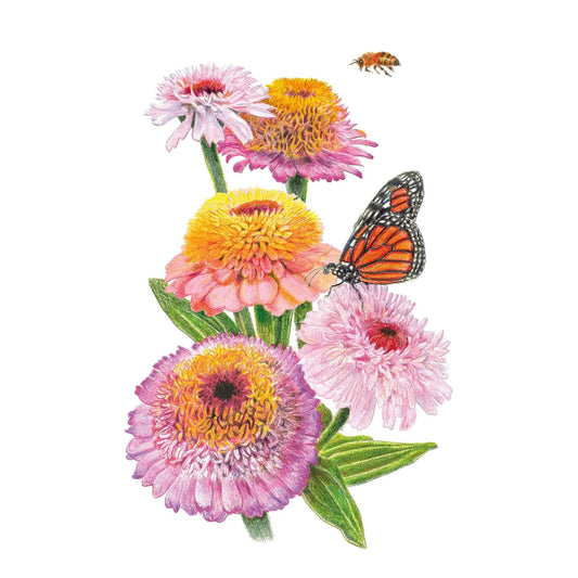 Illustration of pastel pink and yellow Zinderella Pastels Blend zinnia flowers with green leaves, featuring a Monarch butterfly resting on a central bloom and a bee flying overhead