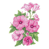 Illustration of soft pink Pink Rose Mallow flowers with dark magenta centers and green foliage.