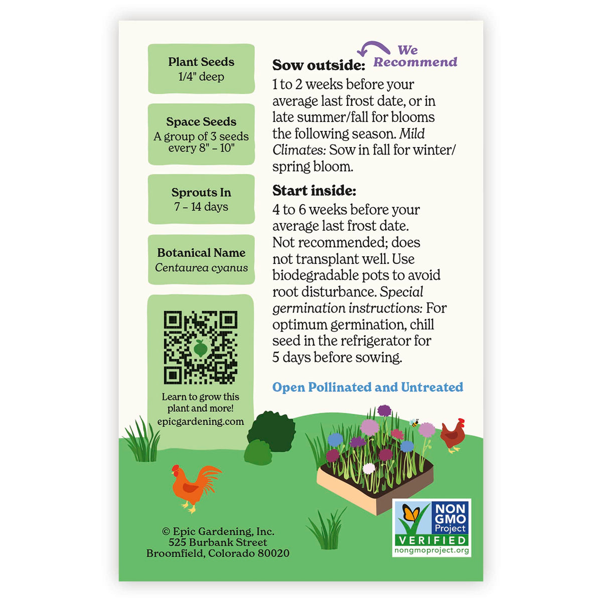 Back of an Epic Gardening Polka Dot Mix Bachelor's Button seed packet showing planting instructions, sowing guidelines, a QR code, and a garden bed illustration on a plain white background.