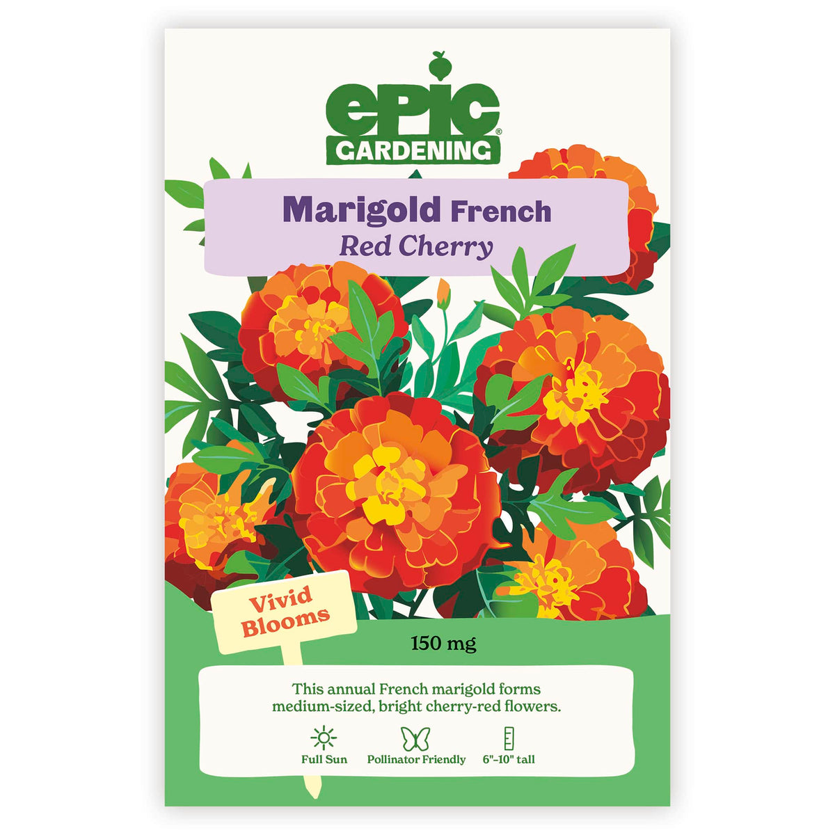 An Epic Gardening Red Cherry French Marigold seed packet featuring an illustration of red and orange marigold flowers, a "Vivid Blooms" callout, and 150 mg seed weight on a plain white background.
