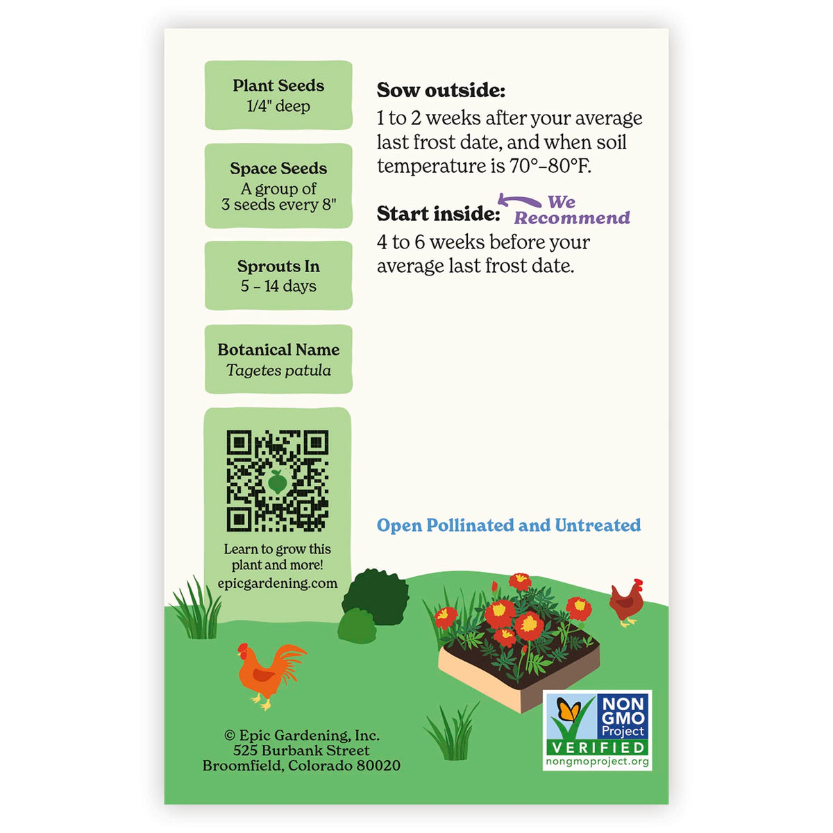 Back of an Epic Gardening Red Cherry French Marigold seed packet showing planting instructions, sowing guidelines, a QR code, and a garden bed illustration on a plain white background.