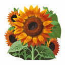 Detailed botanical illustration of warm orange, coppery brown, and mahogany Earthwalker Sunflowers with leafy green stems, isolated on a plain white background.
