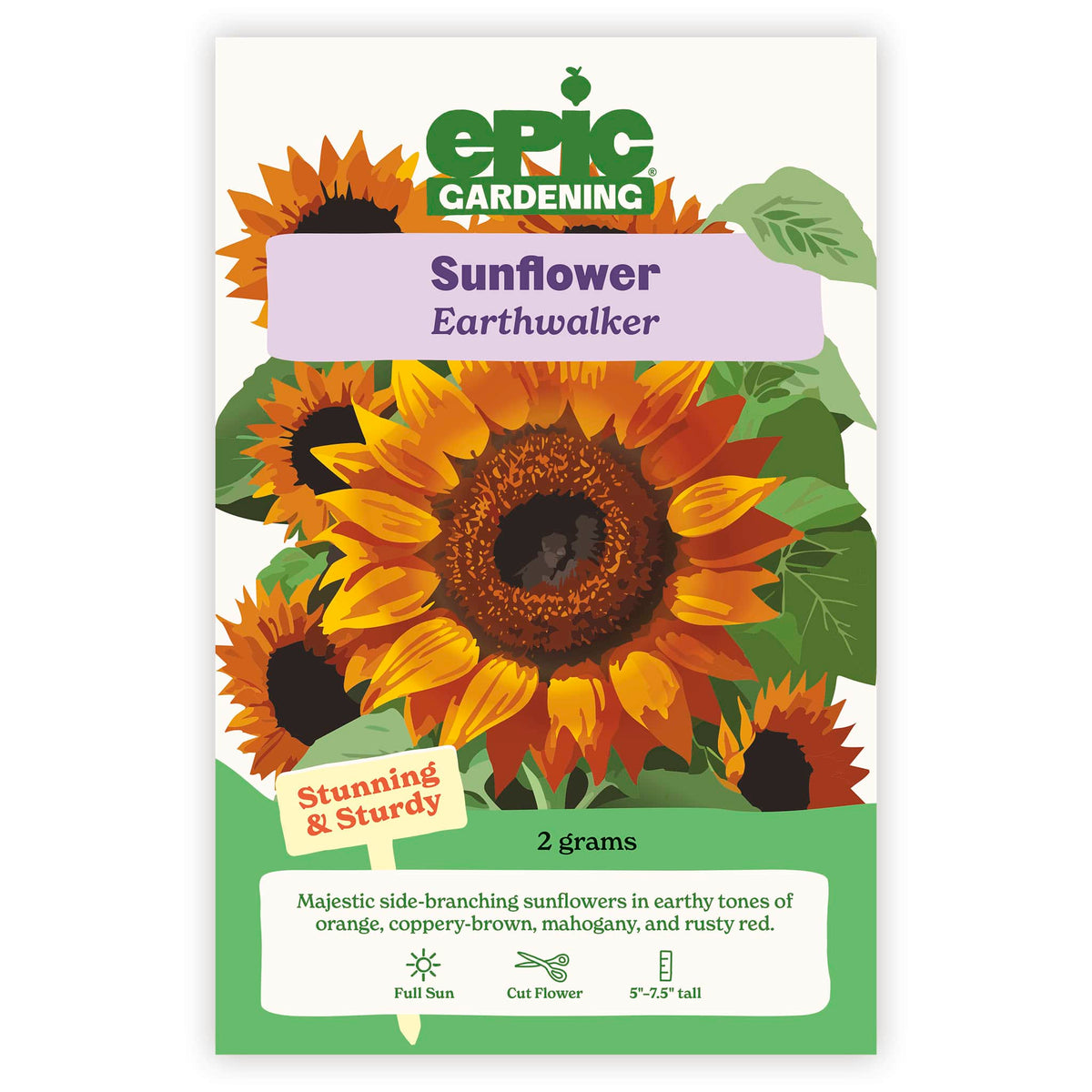 An Epic Gardening Earthwalker Sunflower seed packet featuring an illustration of orange, mahogany, and coppery-brown sunflowers, a "Stunning & Sturdy" callout, and 2 grams seed weight on a plain white background.